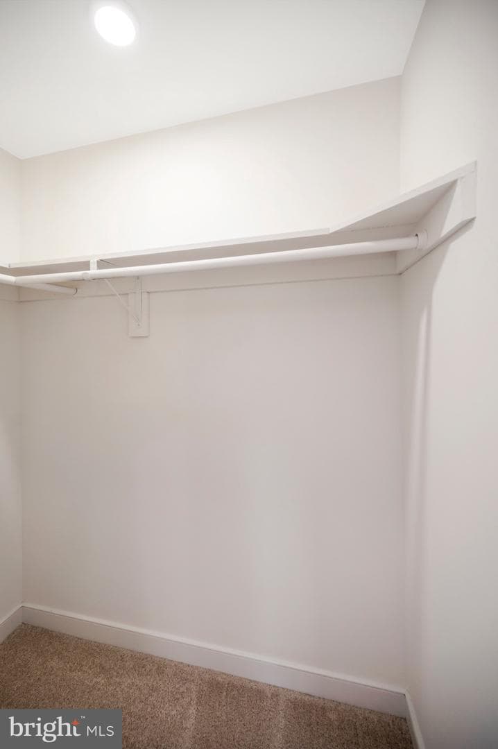 223 Spotswood Road photo 35
