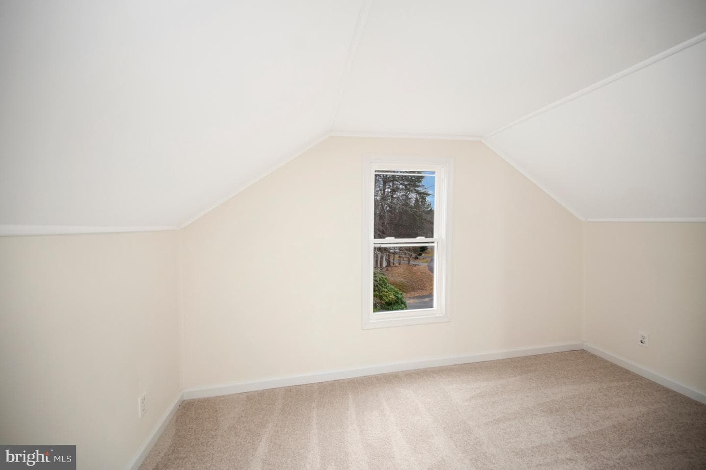 223 Spotswood Road photo 40