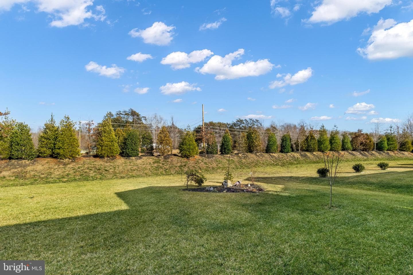 35049 Mansours Drive photo 38