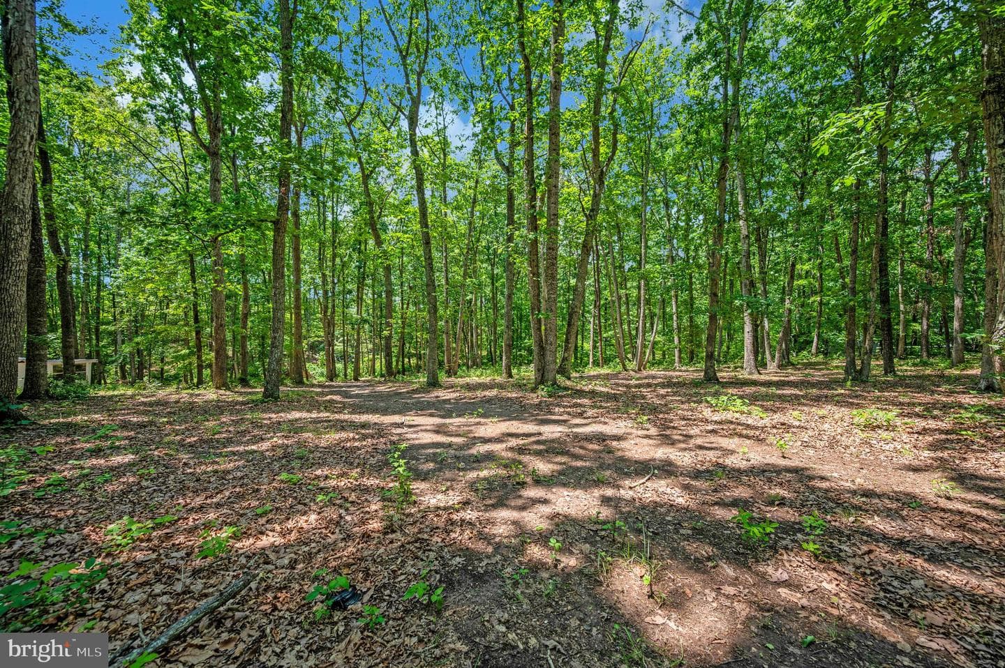 33080 Jackson Loop photo 41