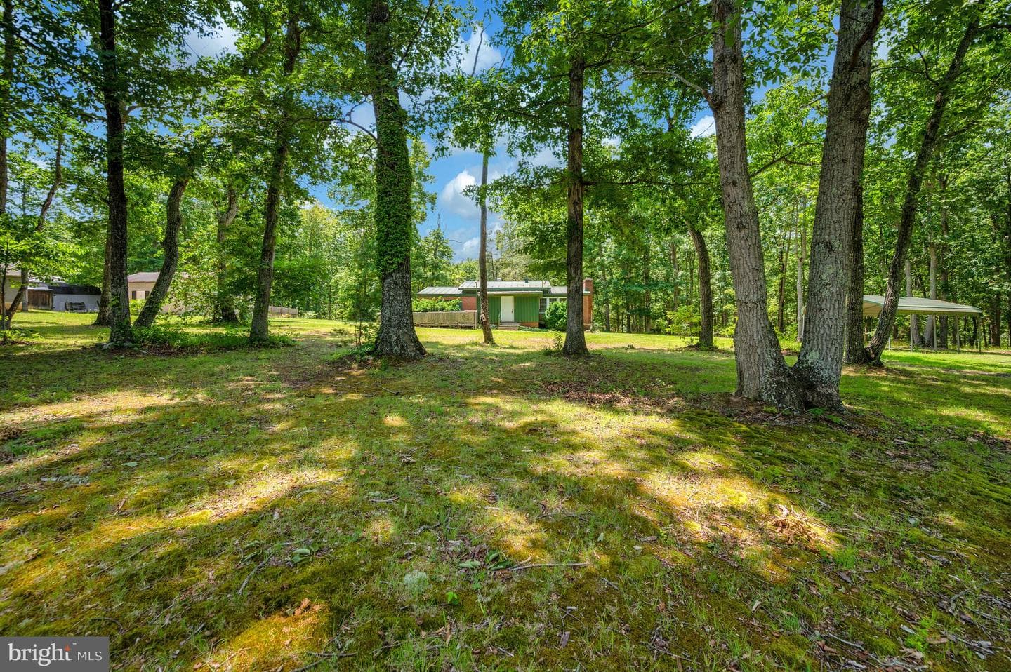 33080 Jackson Loop photo 44