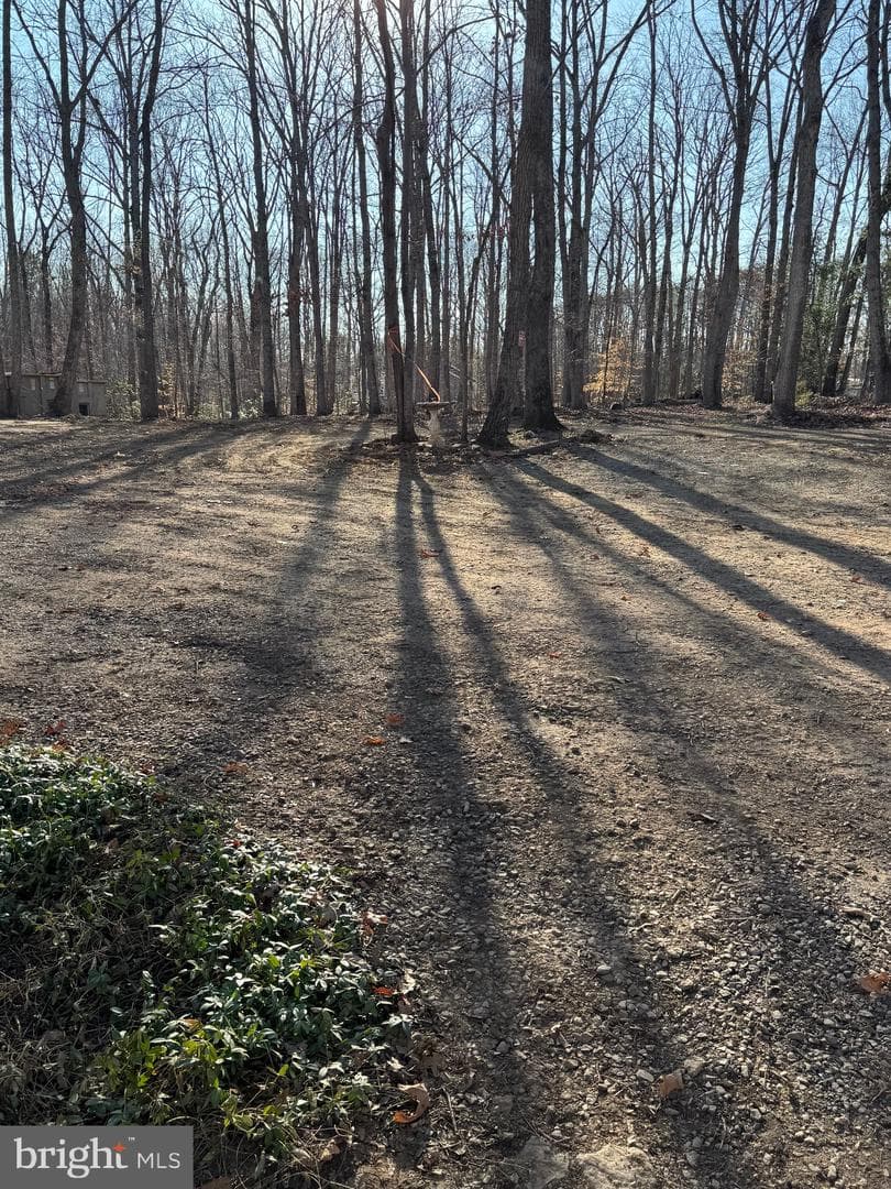 29082 Raccoon Ford Road photo 5