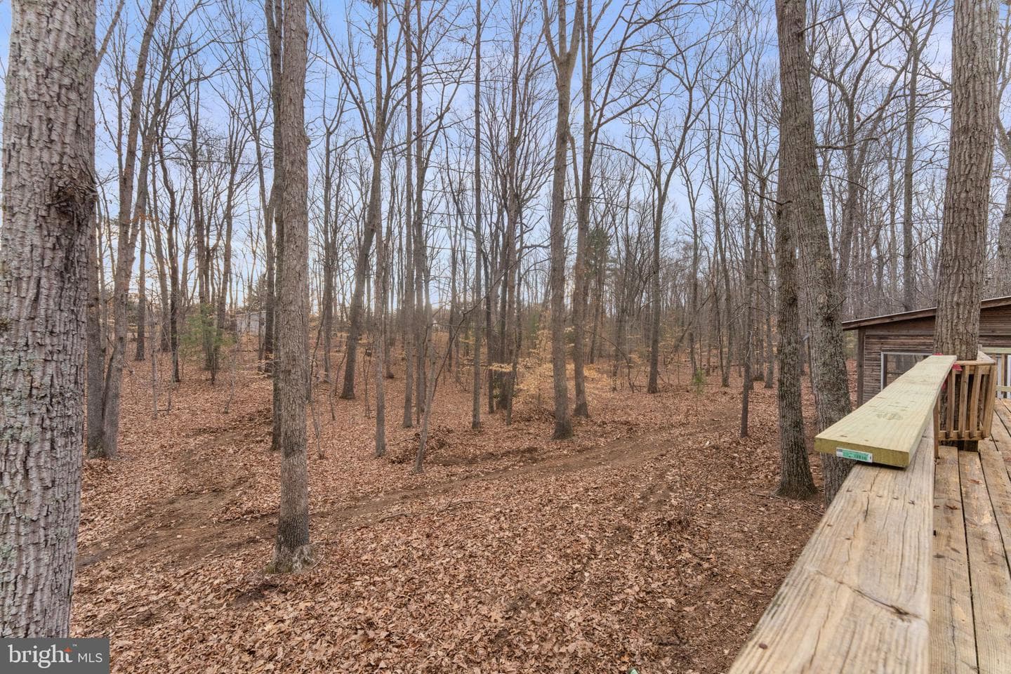 29082 Raccoon Ford Road photo 61