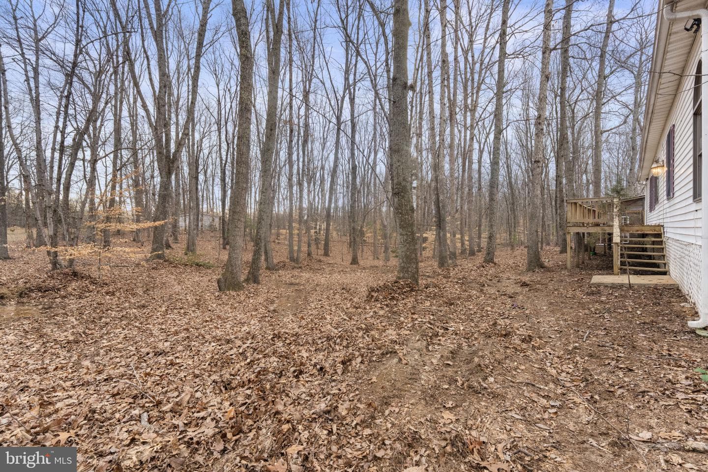 29082 Raccoon Ford Road photo 68