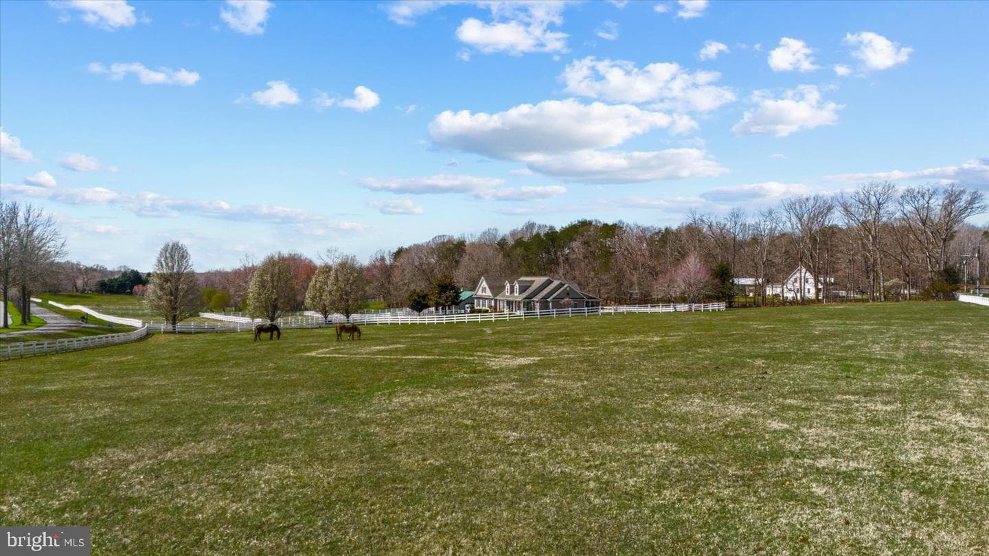 8032 Meadowland Drive photo 53