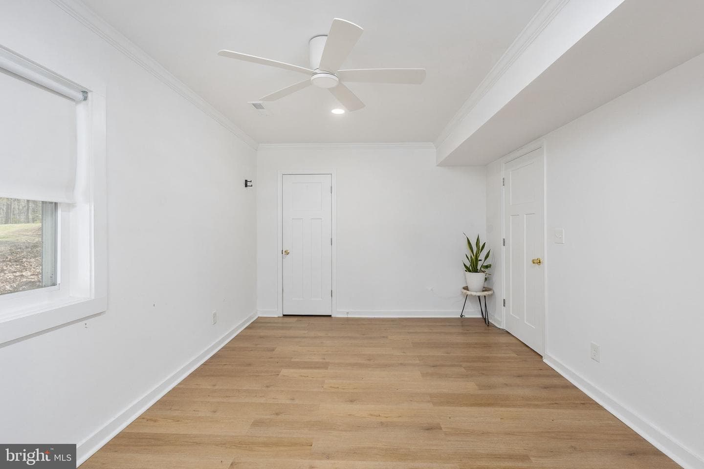 111 Tallwood Trail photo 14