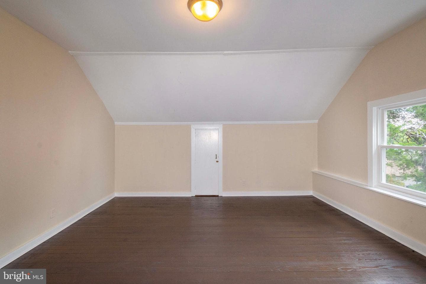 194 Morton St photo 36