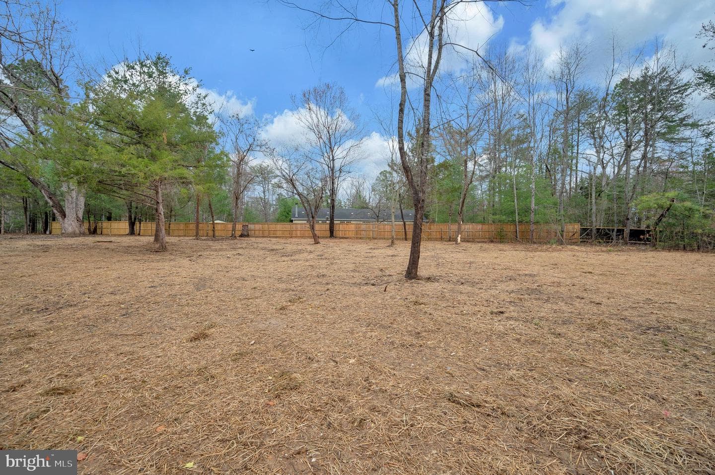 19493 Lake Orange Road photo 30