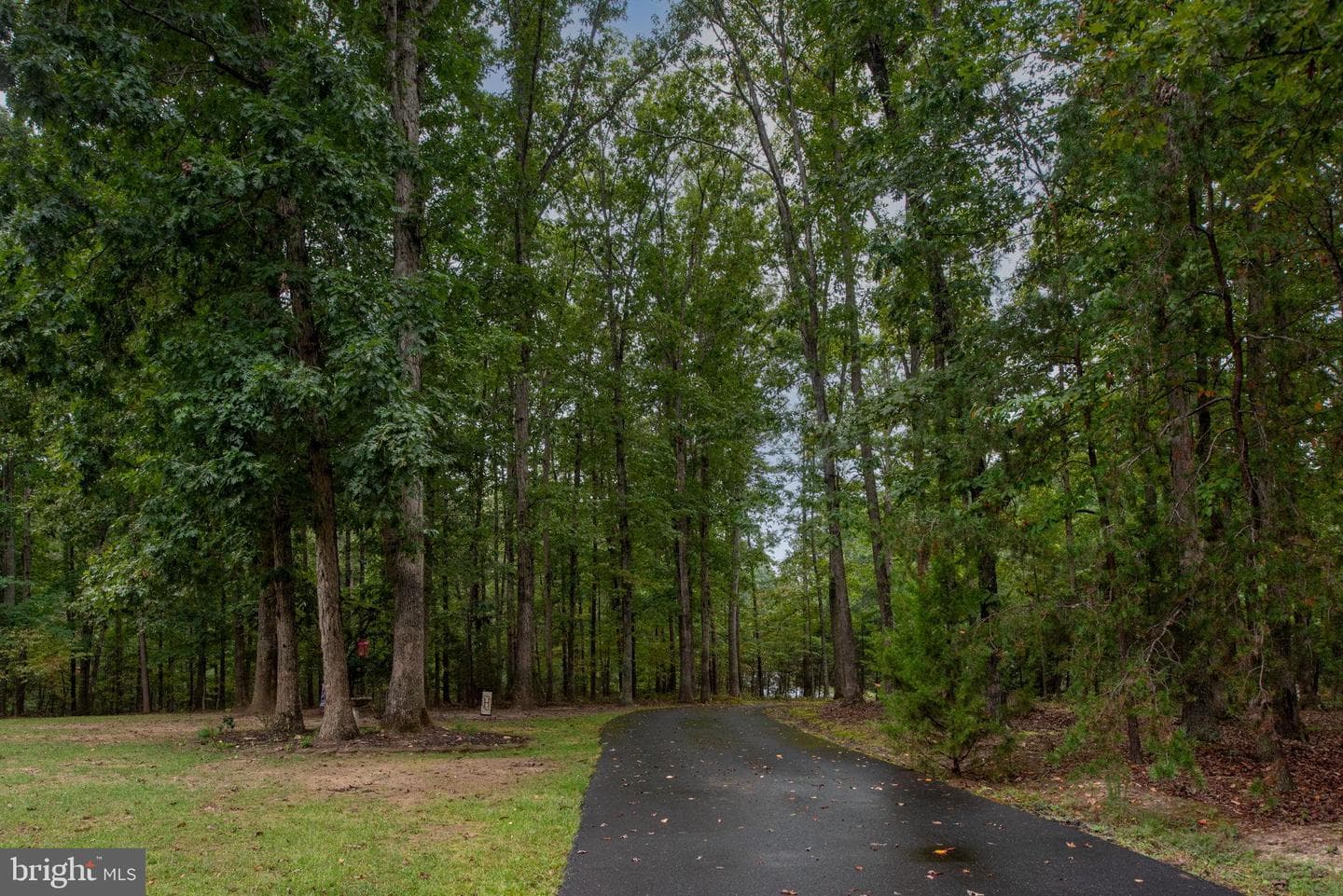 32236 Deep Meadow Lane photo 52