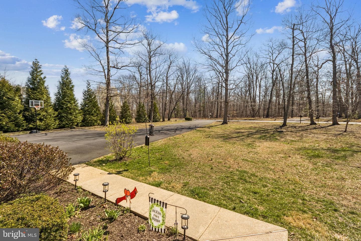 8174 Black Walnut Run Rd photo 8