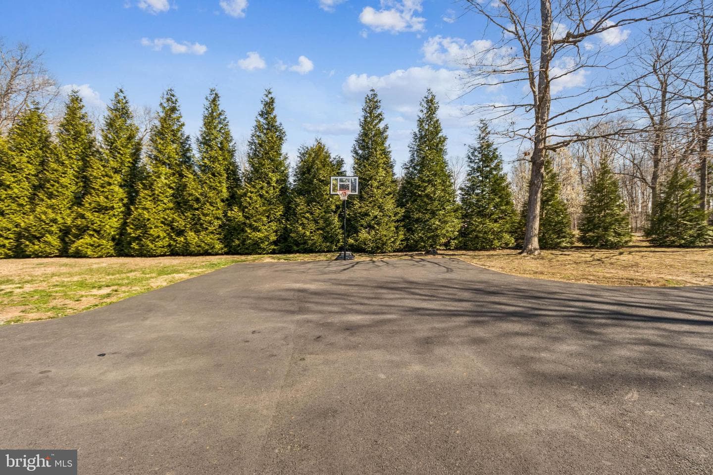 8174 Black Walnut Run Rd photo 9