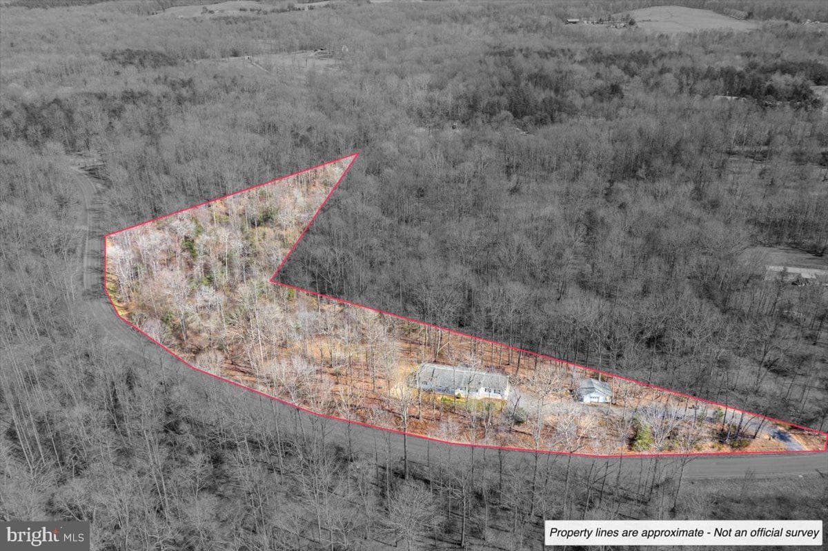 9521 Grasty Gold Mine Road photo 3