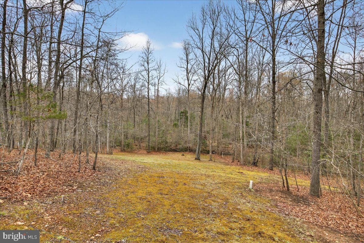 9521 Grasty Gold Mine Road photo 59