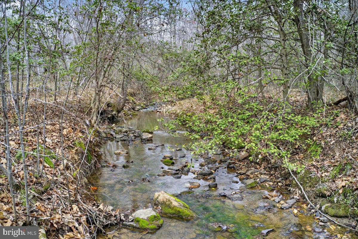 9521 Grasty Gold Mine Road photo 77