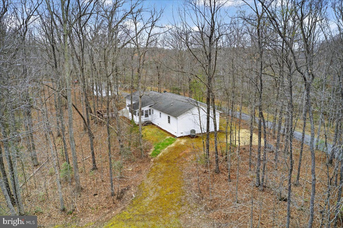 9521 Grasty Gold Mine Road photo 78