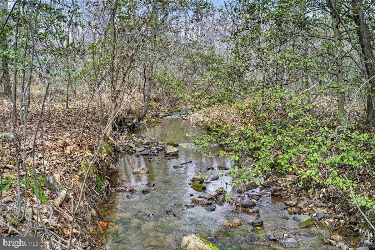 9521 Grasty Gold Mine Road photo 80