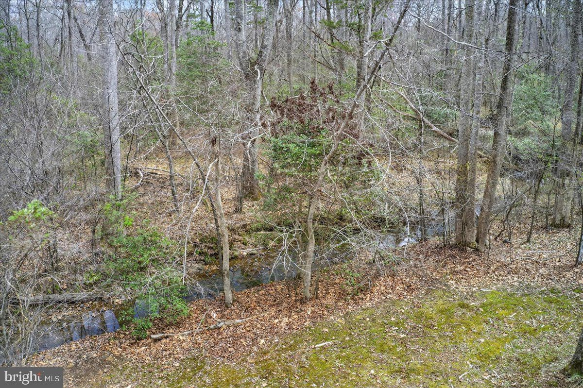 9521 Grasty Gold Mine Road photo 81