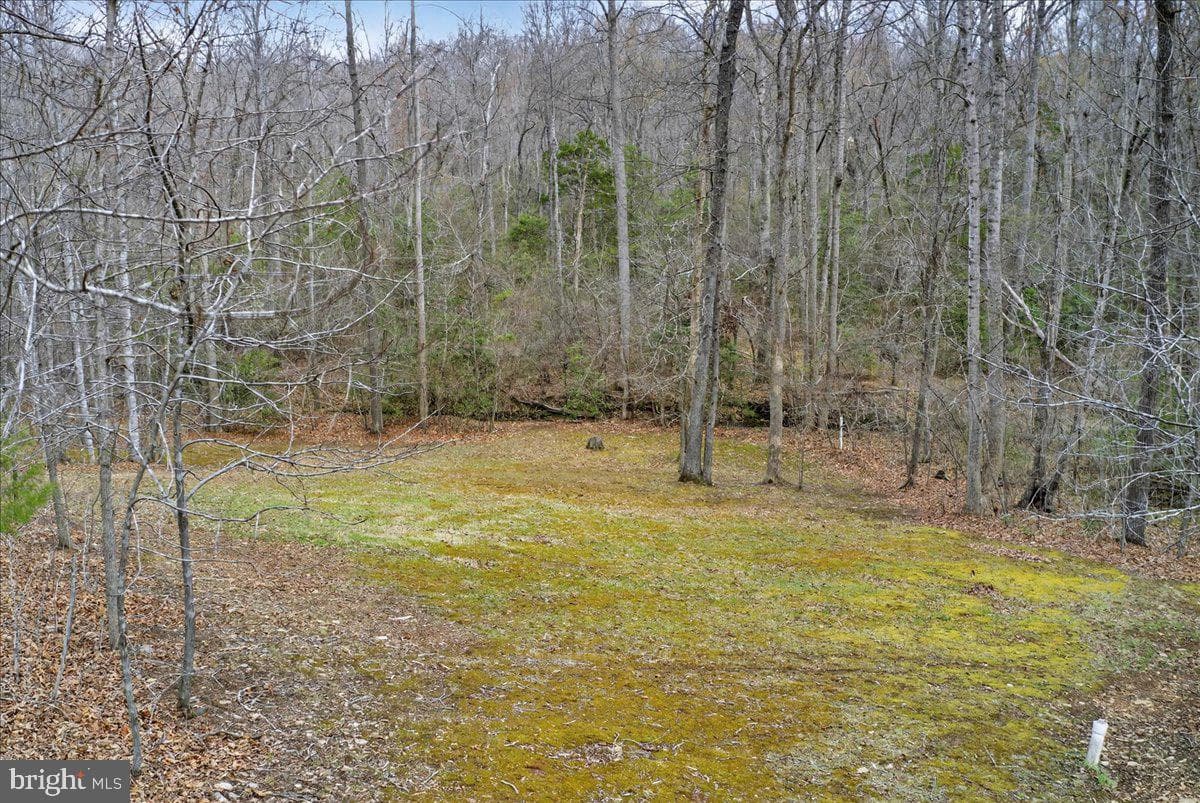 9521 Grasty Gold Mine Road photo 82