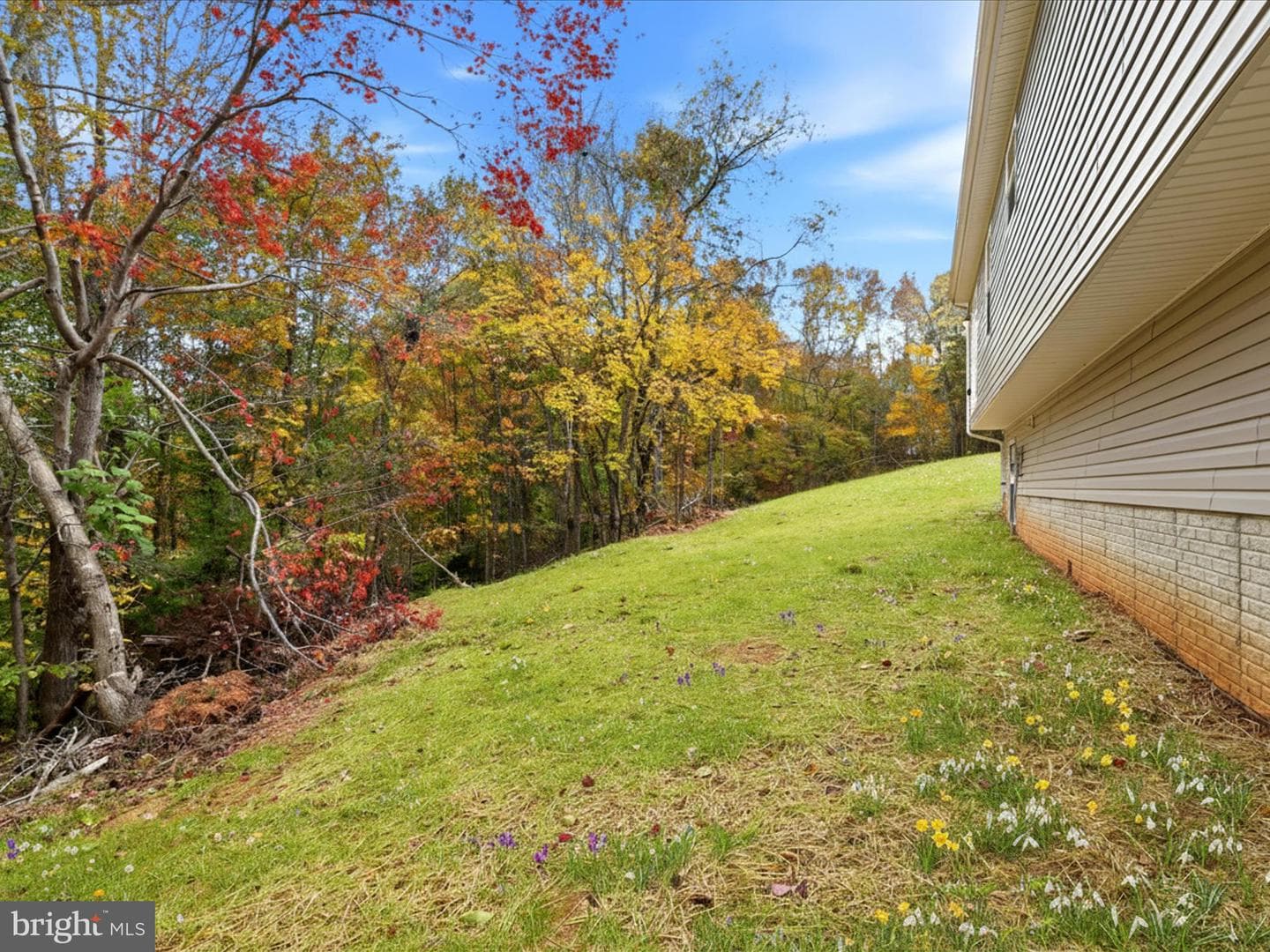3281 Russel Run Road photo 47