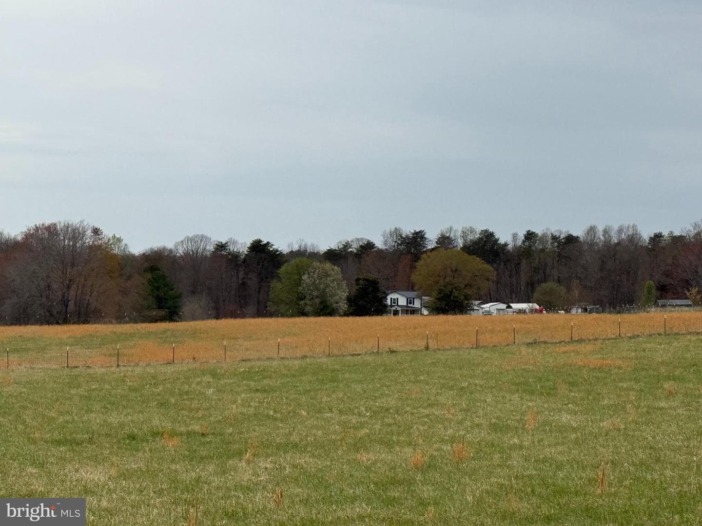 8344 Wilderness Woods Lane photo 2