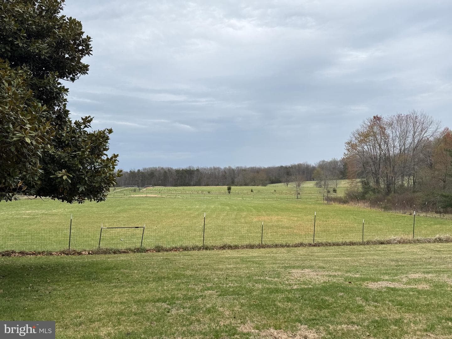 8344 Wilderness Woods Lane photo 6