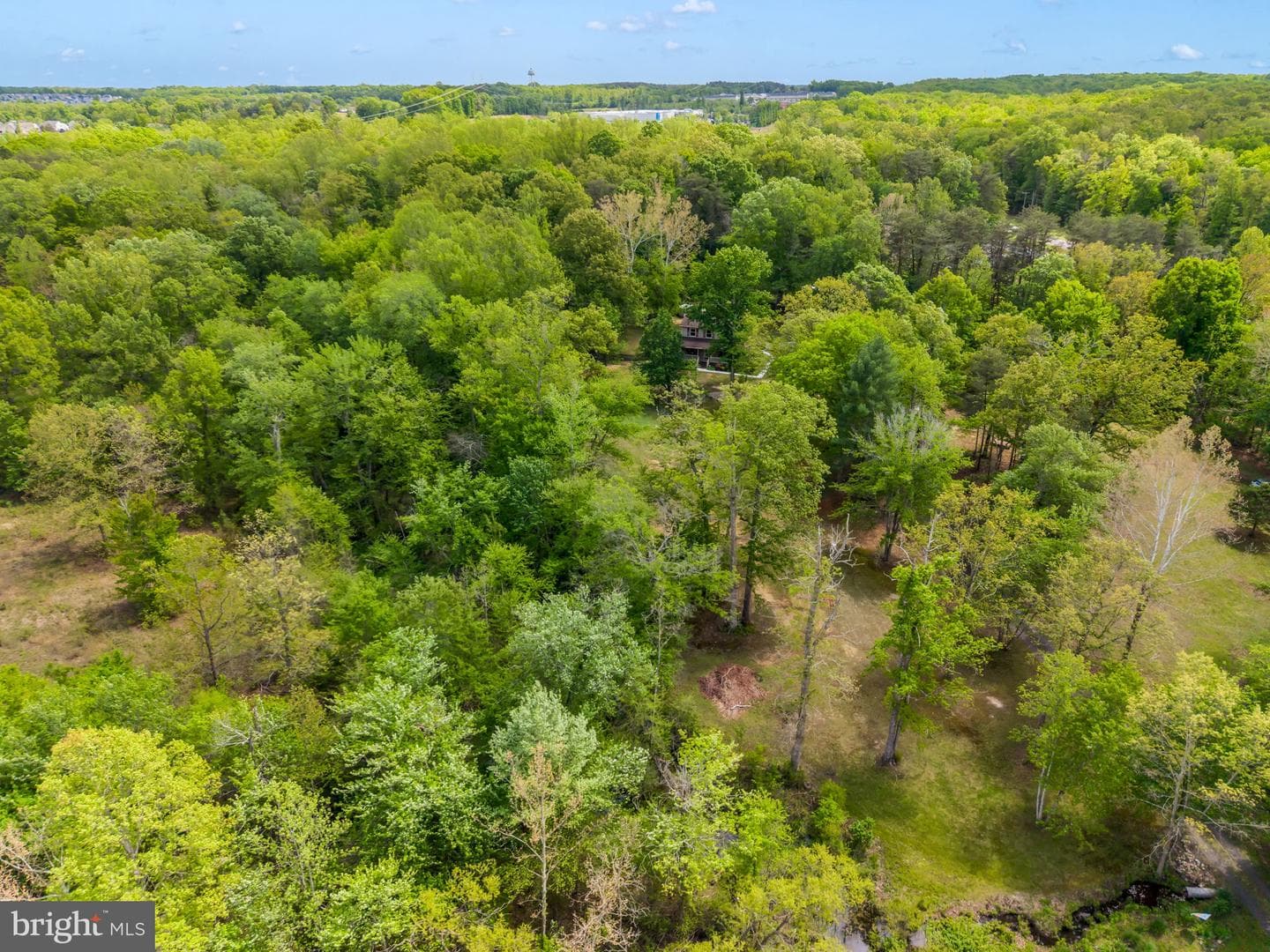 2065 Spotswood Drive photo 43