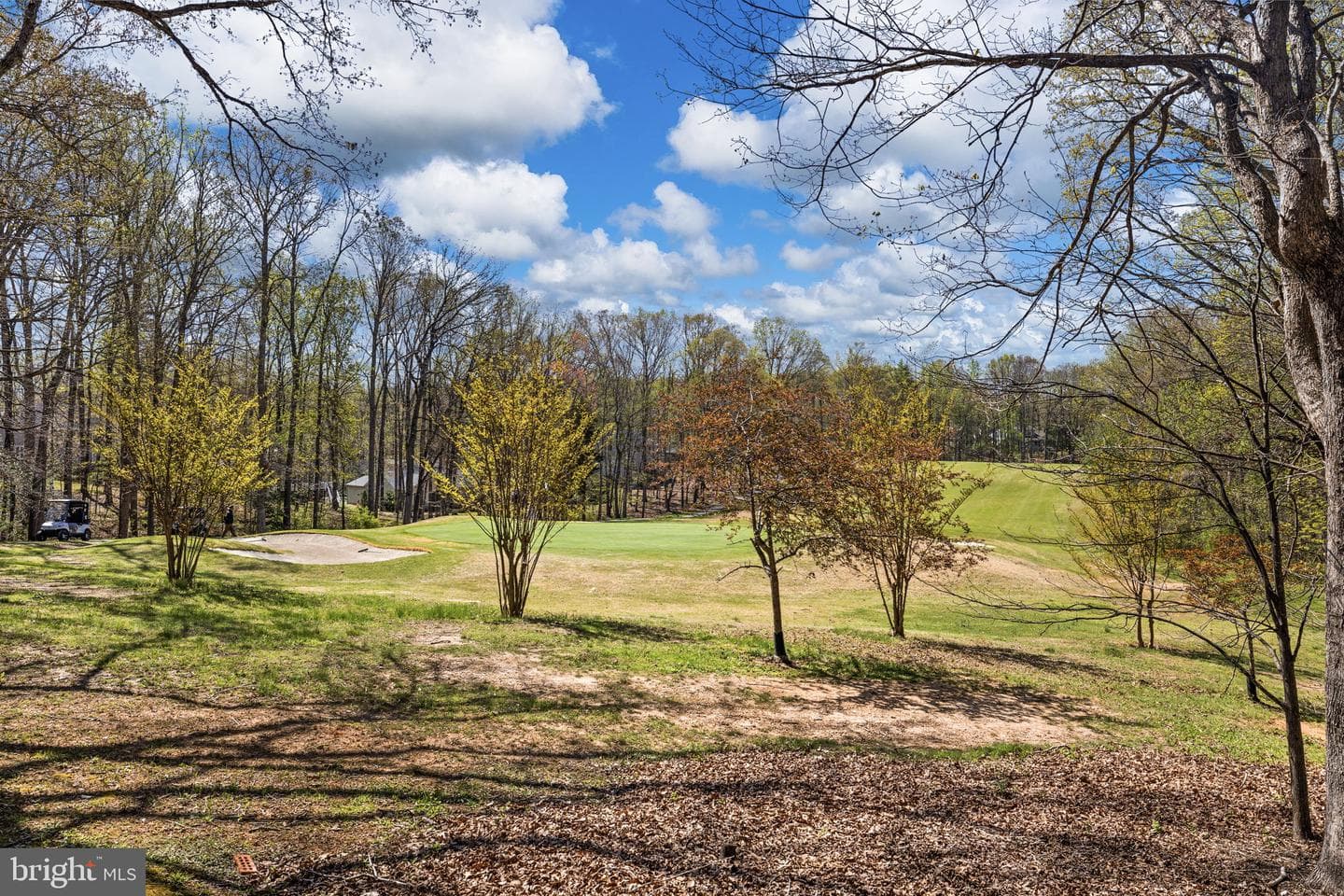 111 Chesterfield Court photo 11