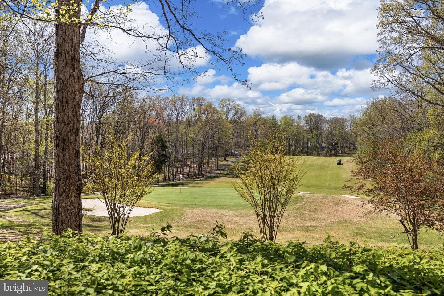111 Chesterfield Court photo 5