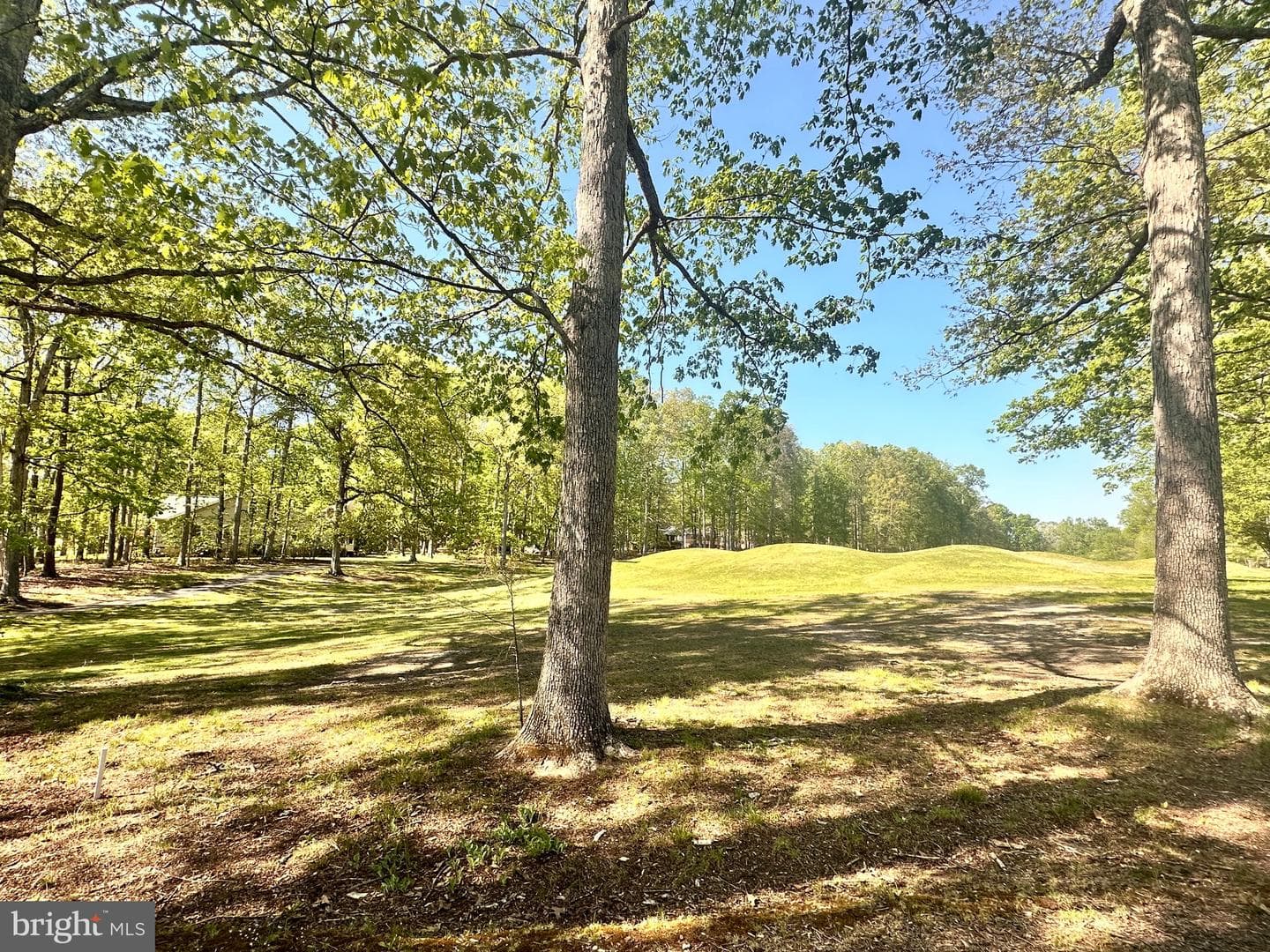 510 Birdie Road photo 9