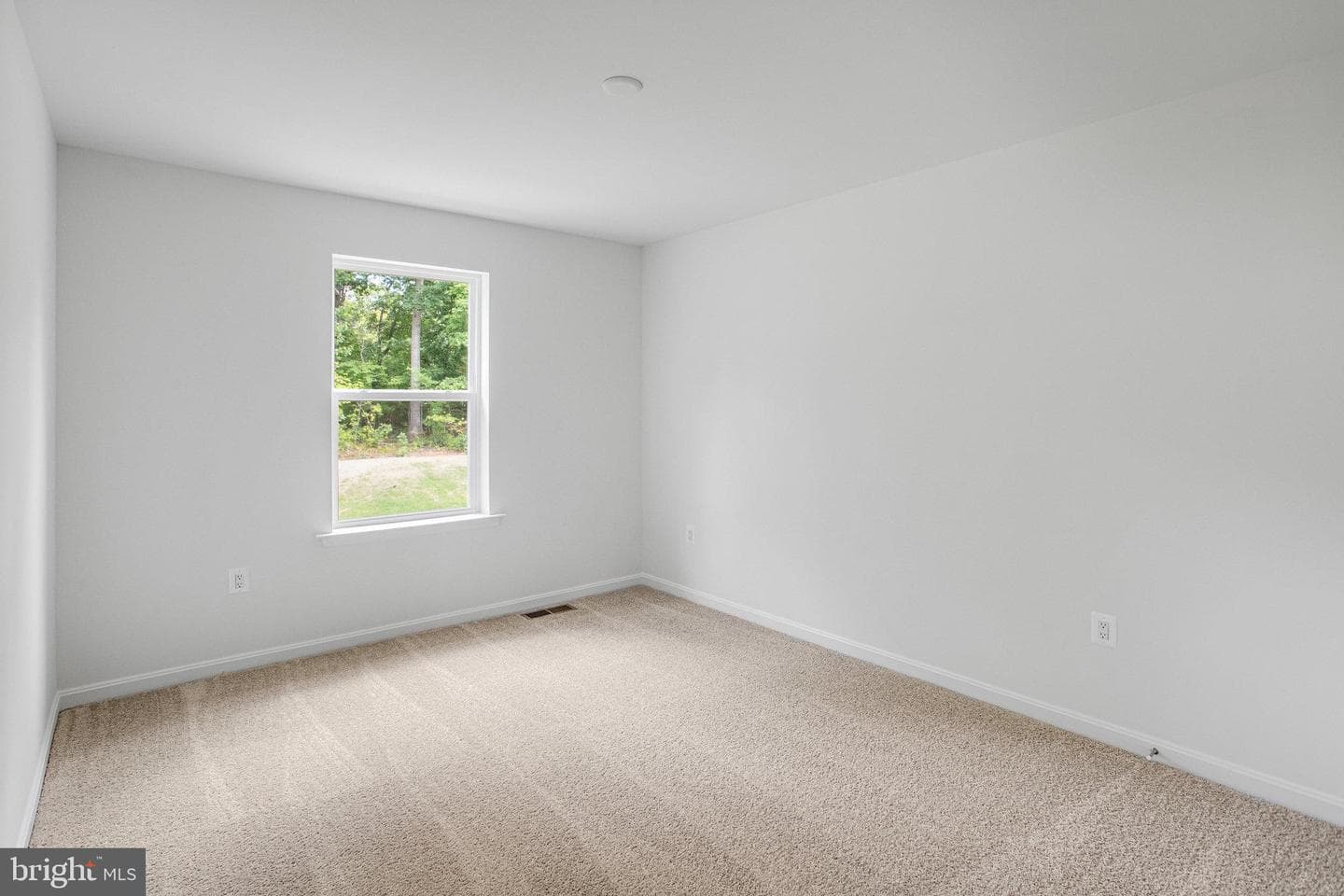 35611 Pine Needle Lane photo 24