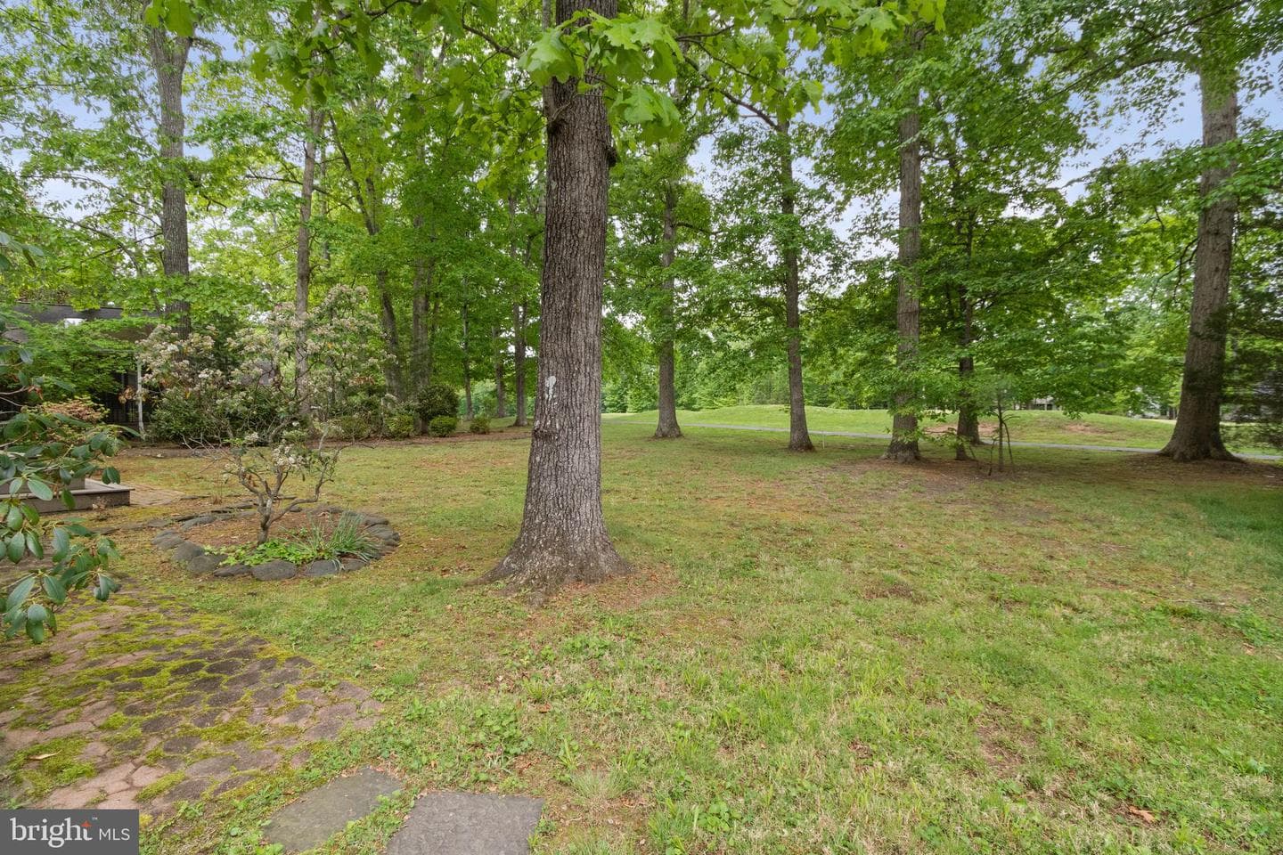 210 Limestone Lane photo 37