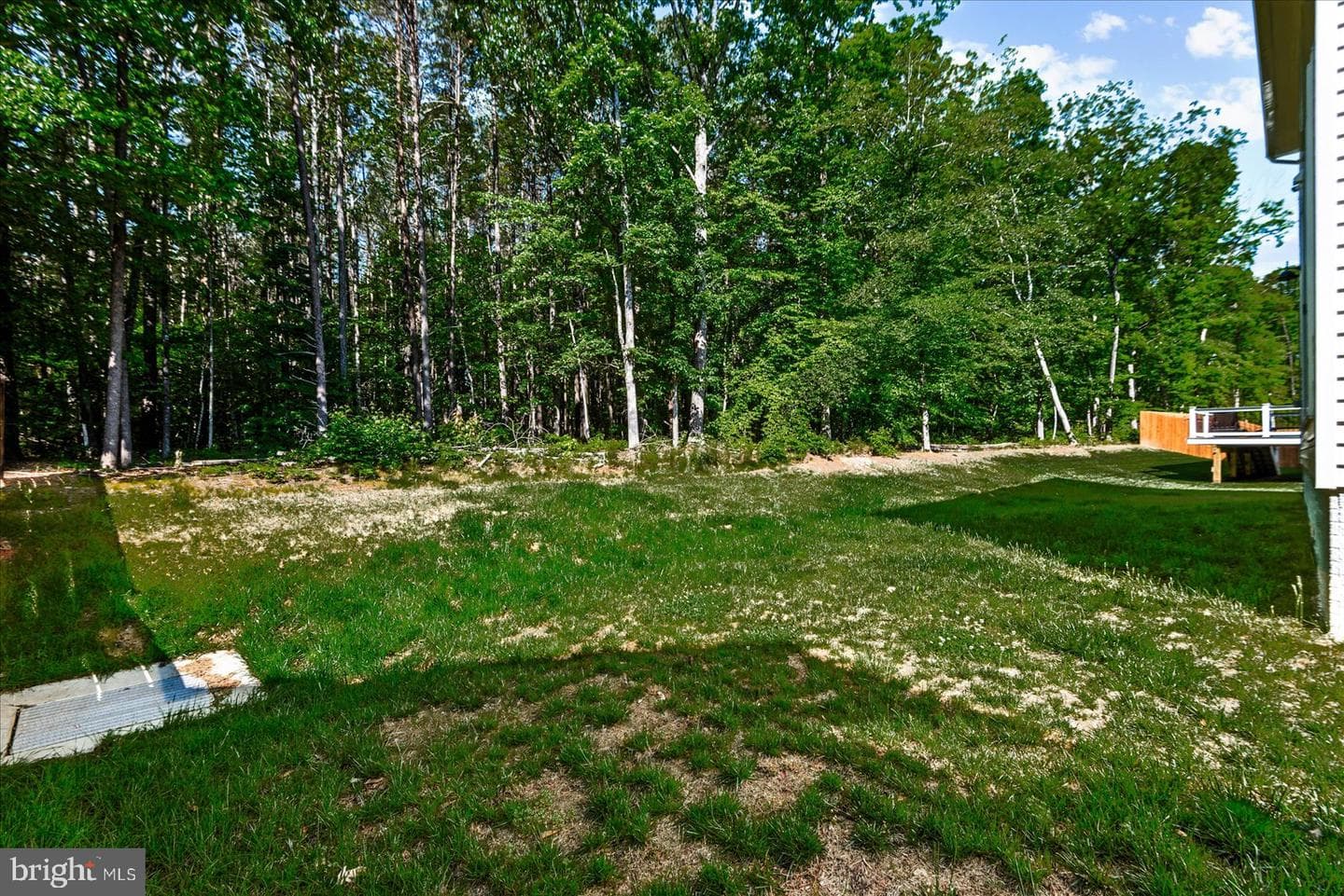 2848 White Tail Drive photo 31