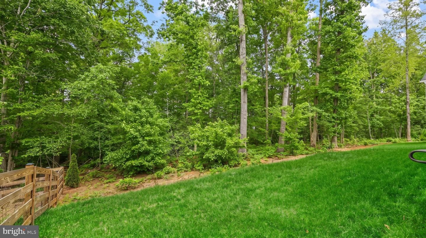 2865 White Tail Drive photo 36