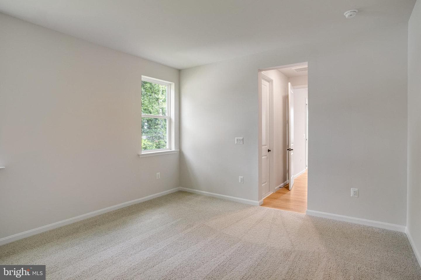 35599 Pine Needle Lane photo 15