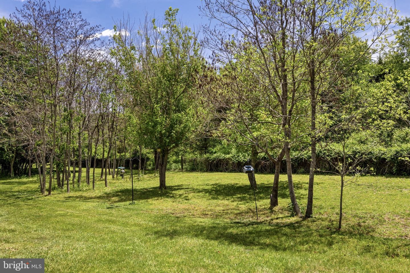 26590 Pennfields Drive photo 54