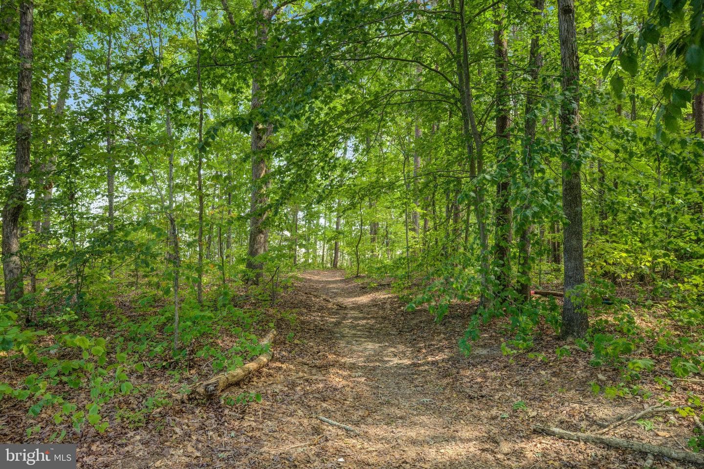 36251 Coyote Trail photo 38
