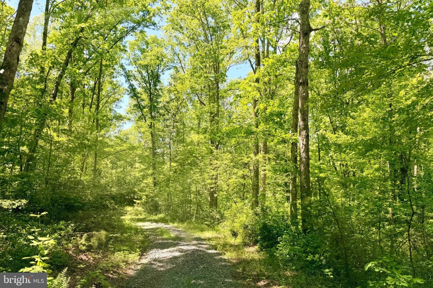 Lot 5 Autumn Ridge Lane, Unionville