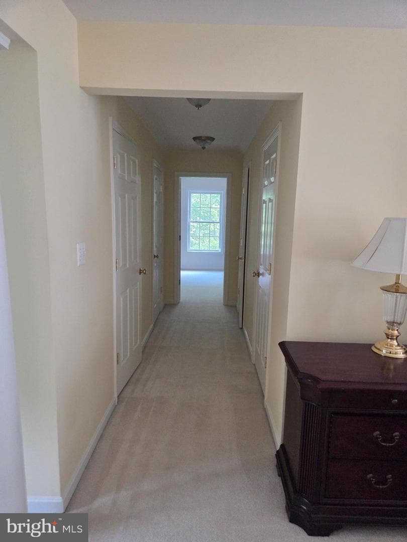 1478 Spotswood Drive photo 24