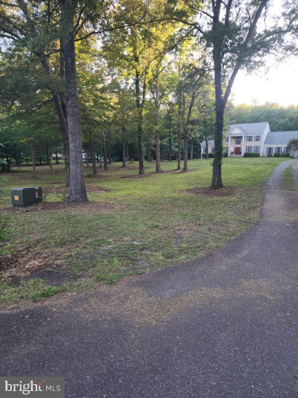 1478 Spotswood Drive photo 43