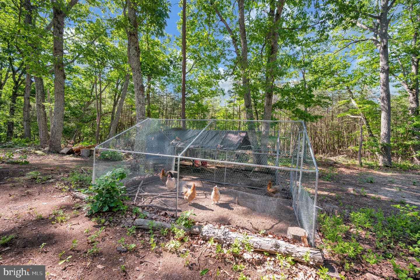 28282 Tatum Road photo 50