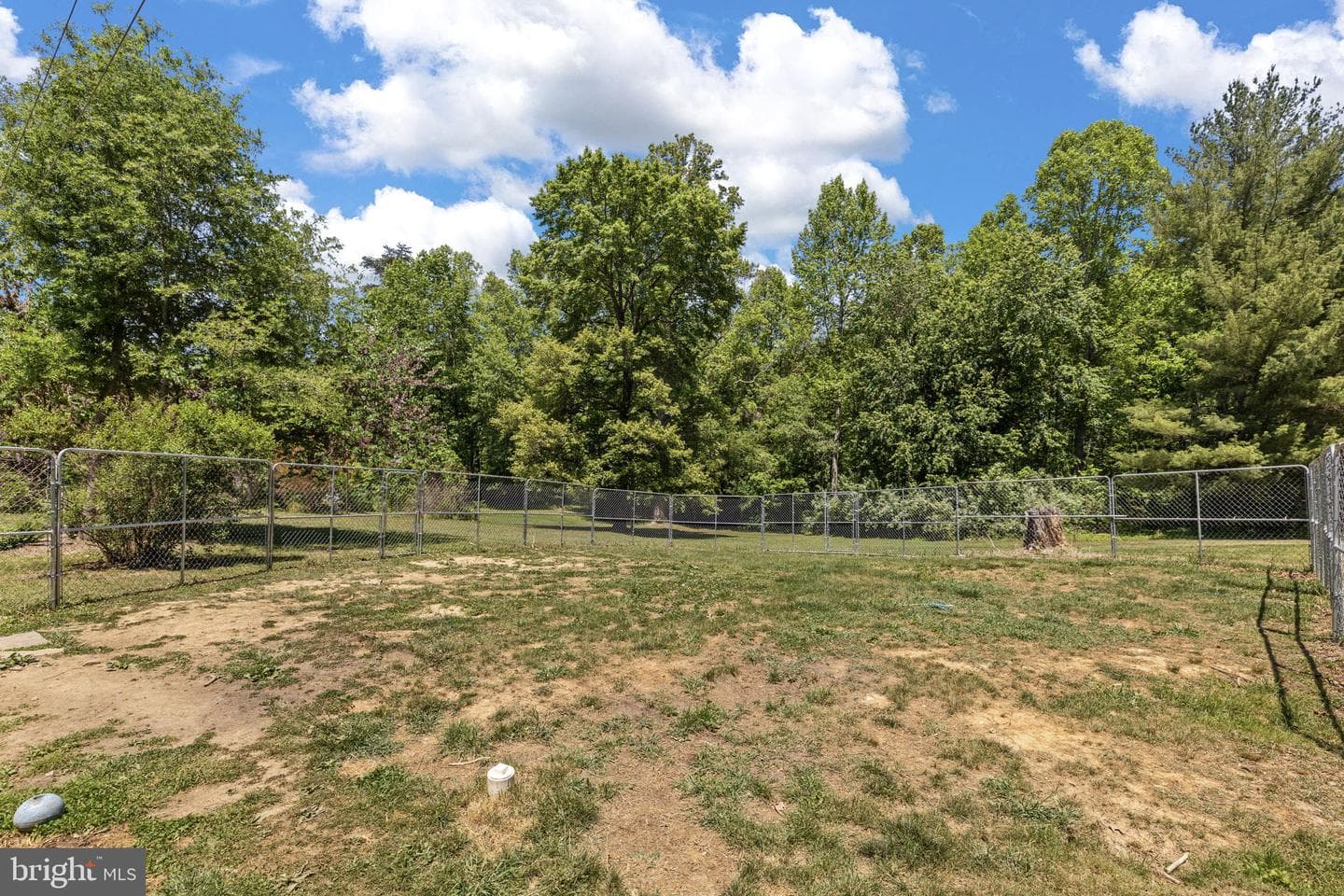 17195 Oakshade Road photo 30