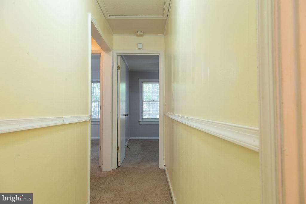 207 Creekside Drive photo 20