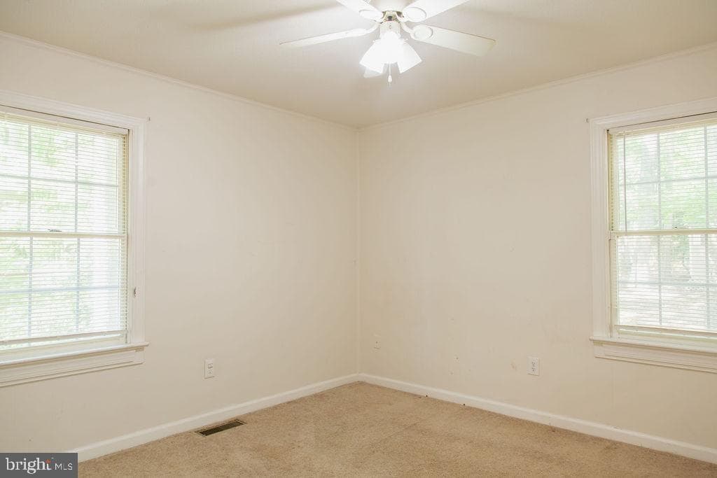 207 Creekside Drive photo 24