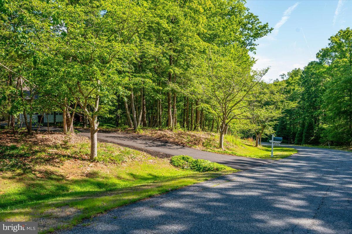 6134 Walkers Hollow Way photo 77