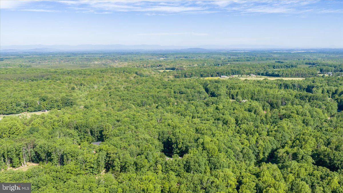 6134 Walkers Hollow Way photo 85