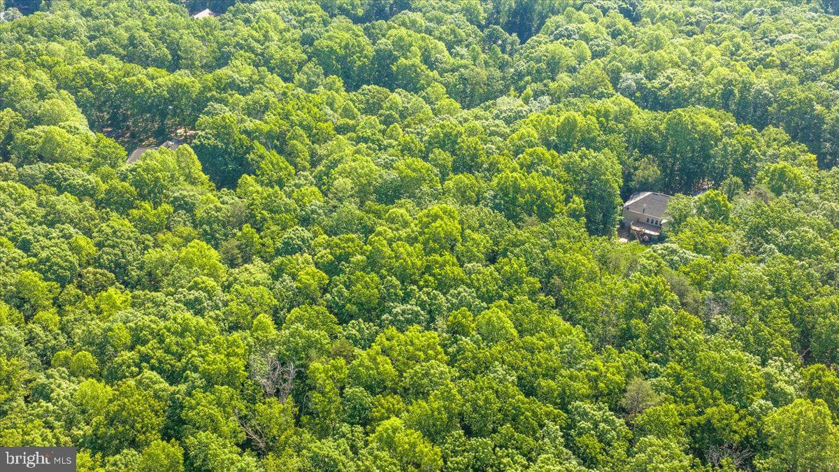 6134 Walkers Hollow Way photo 88