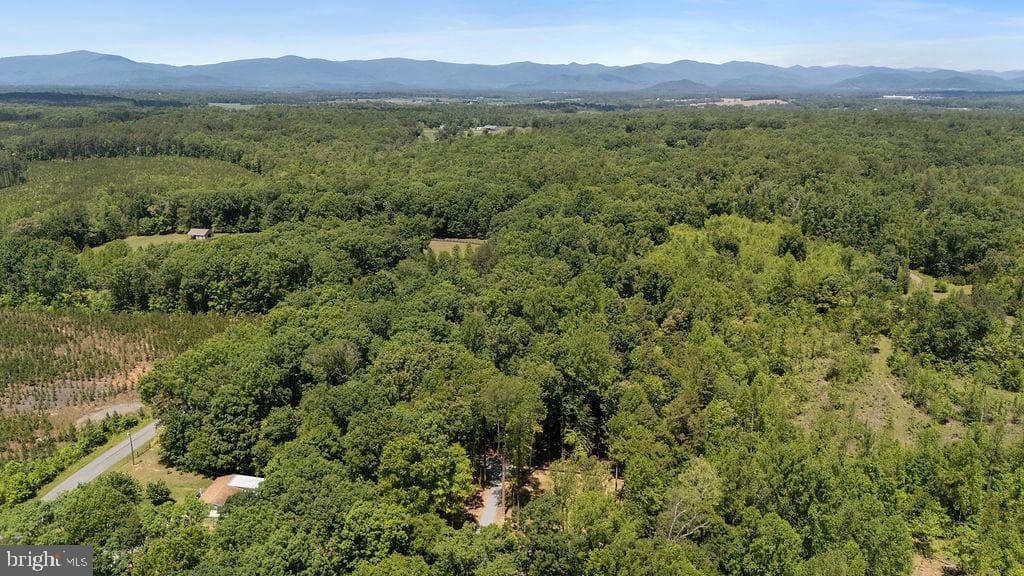 12121 Albano Road photo 45