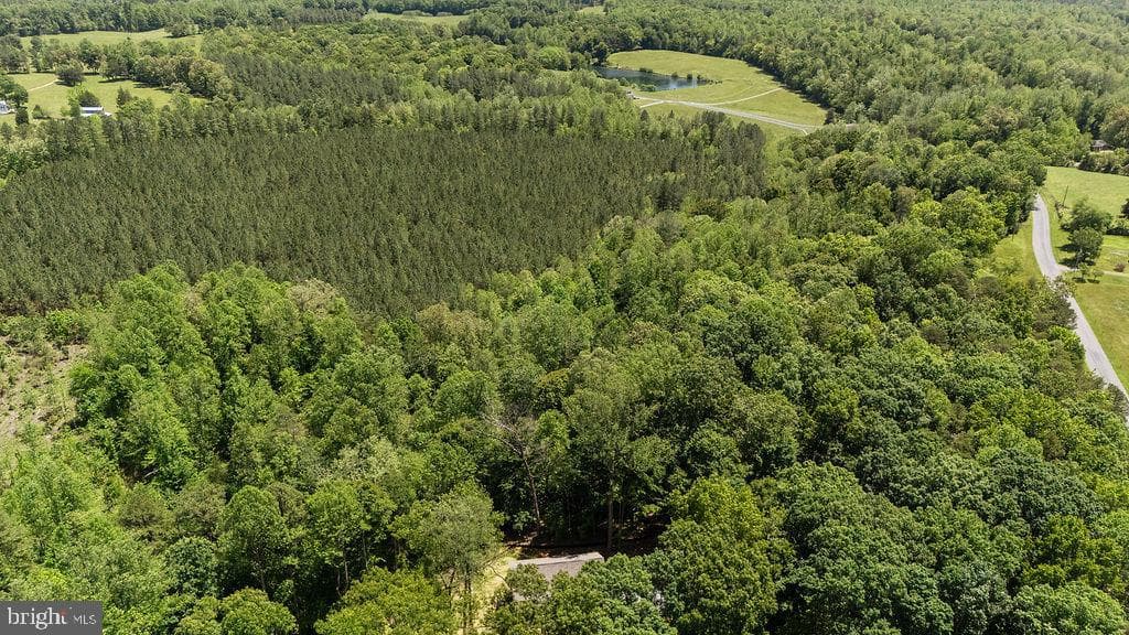 12121 Albano Road photo 54