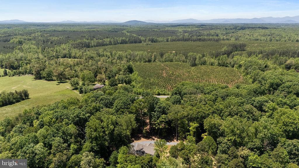 12121 Albano Road photo 58