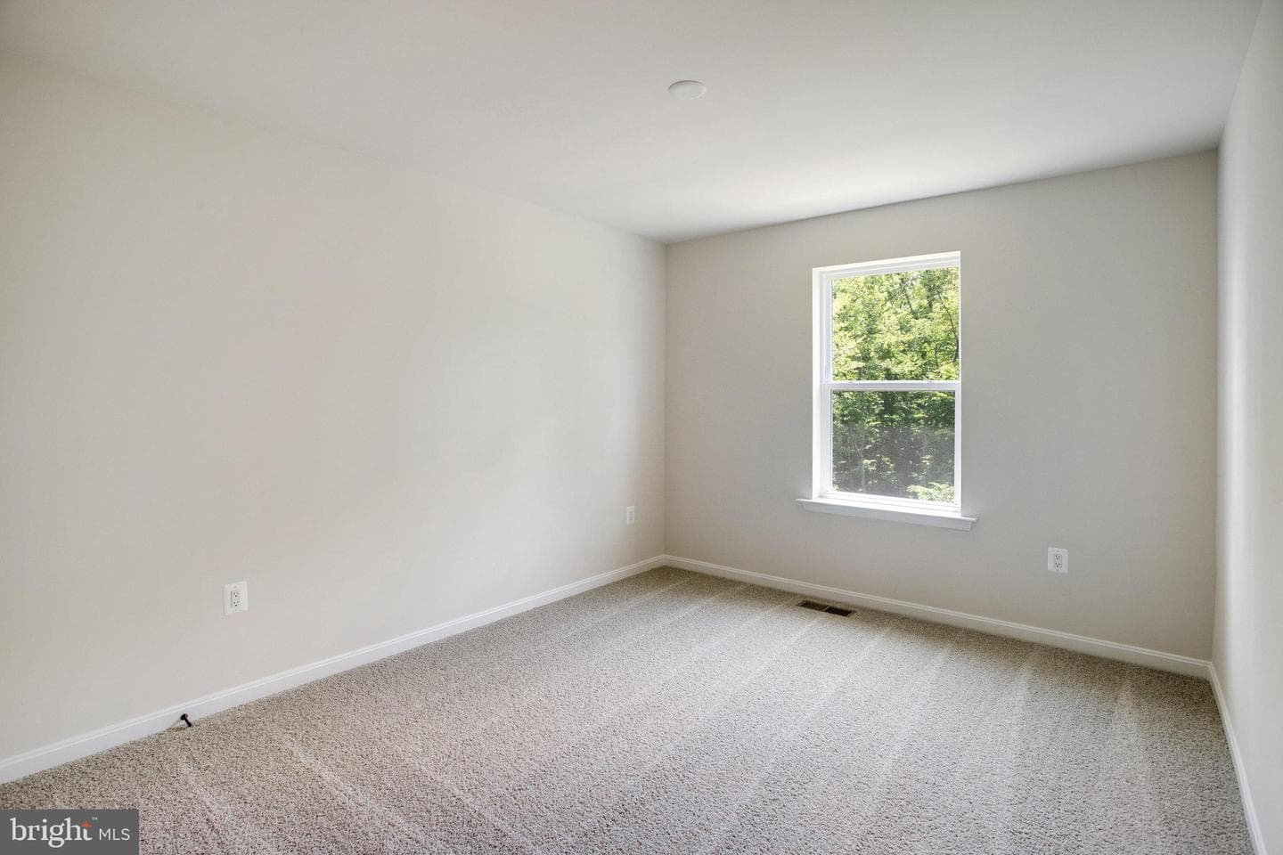 35606 Pine Needle Lane photo 24